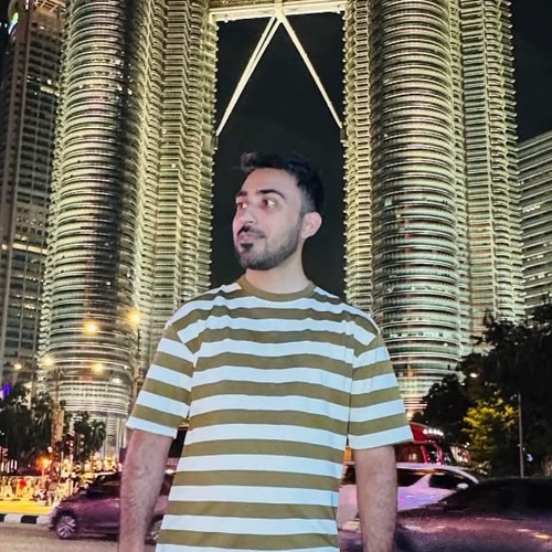 Syed Raza, Income Tax Consultant